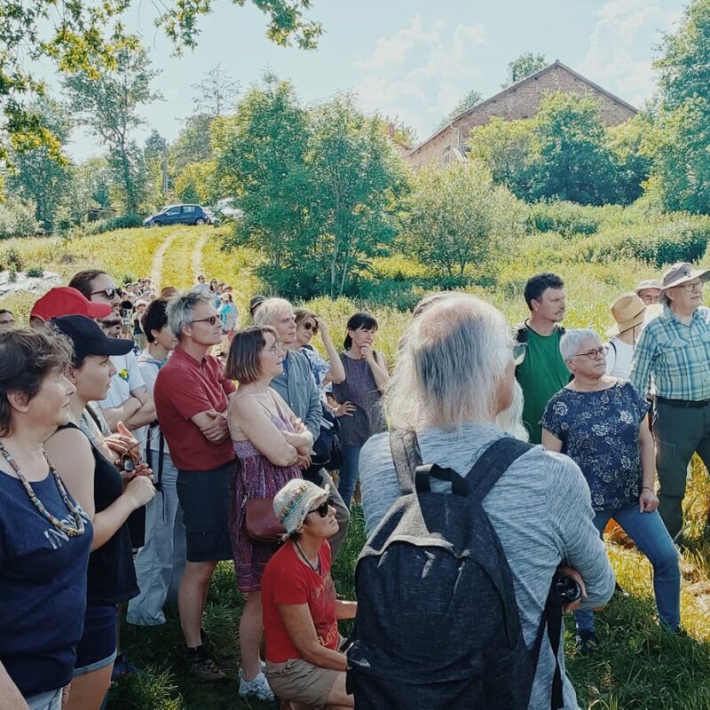 ferme-sailles-Claire-Bernard