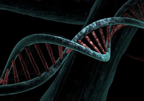 mirerek8-dna-6517209_1920