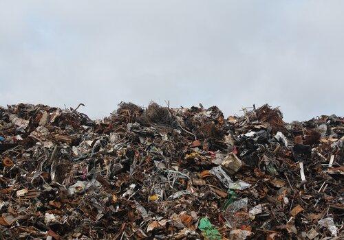 pexels-disposal-1846033