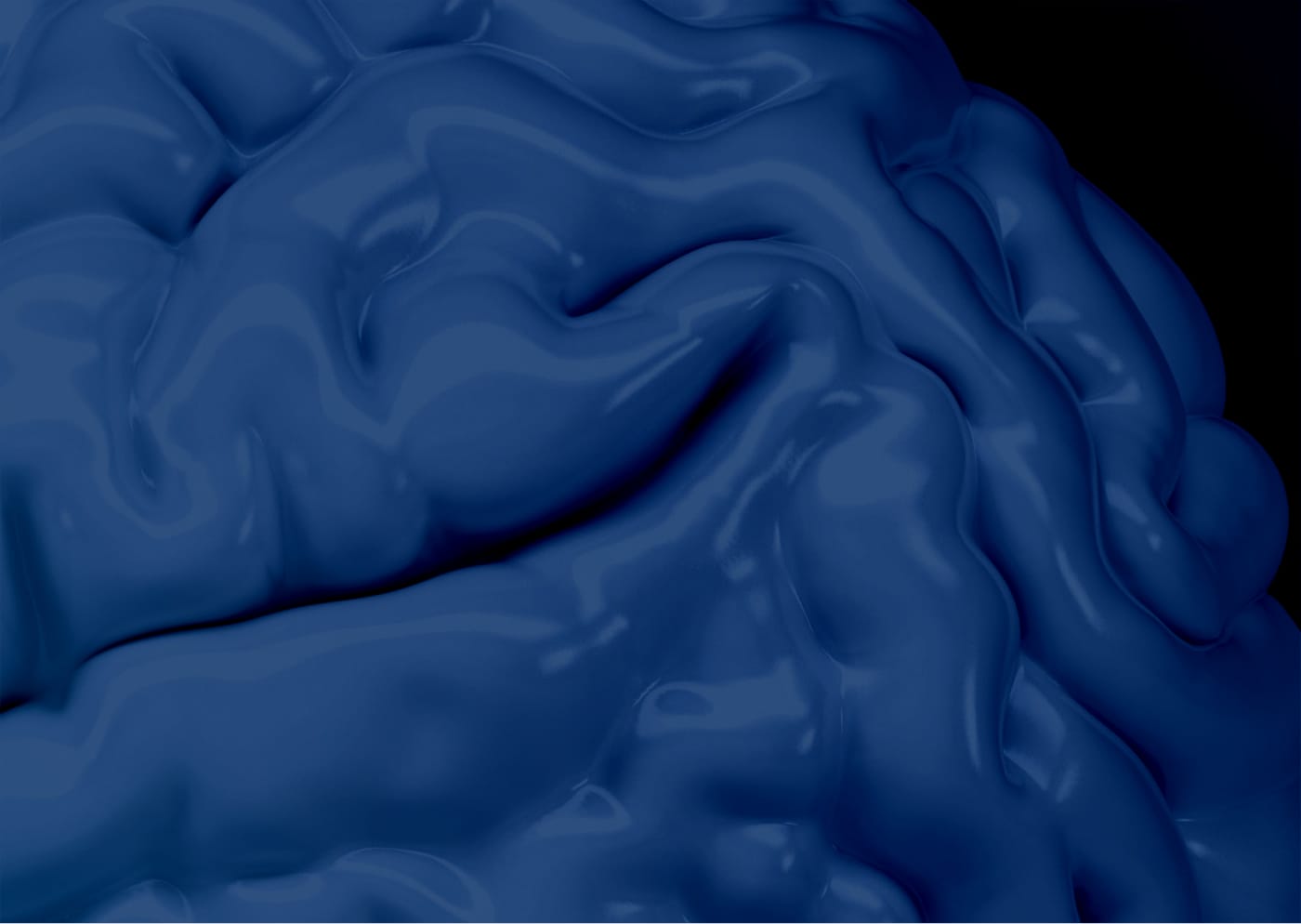 Programme Semaine du cerveau 2026