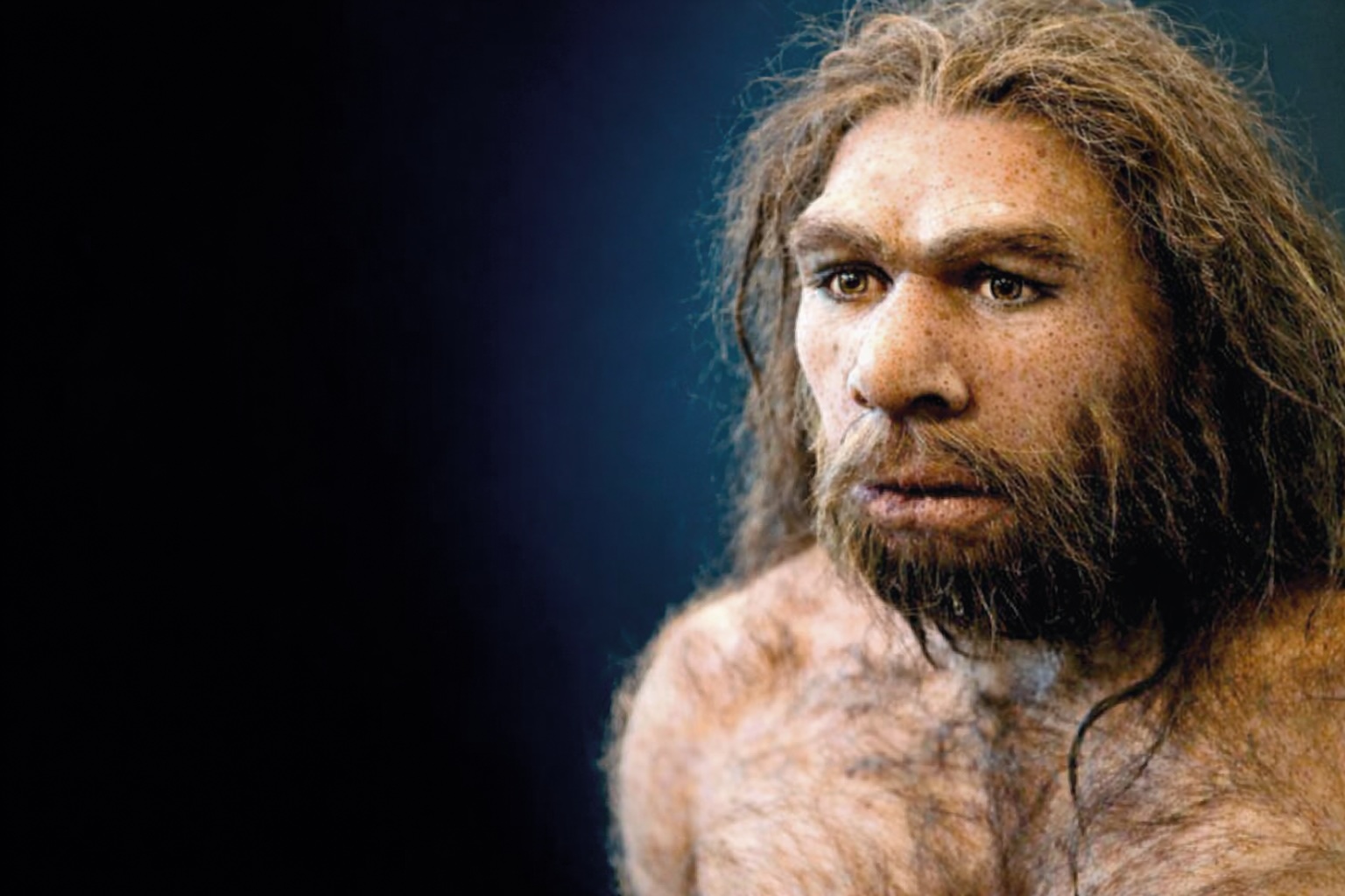 20032026_after_NEANDERTAL_