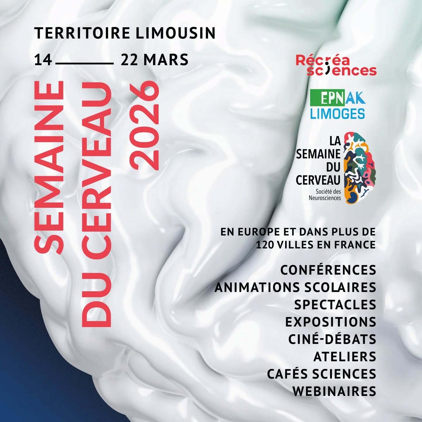 Interview Semaine du Cerveau 2026 (ICI LIMOUSIN)
