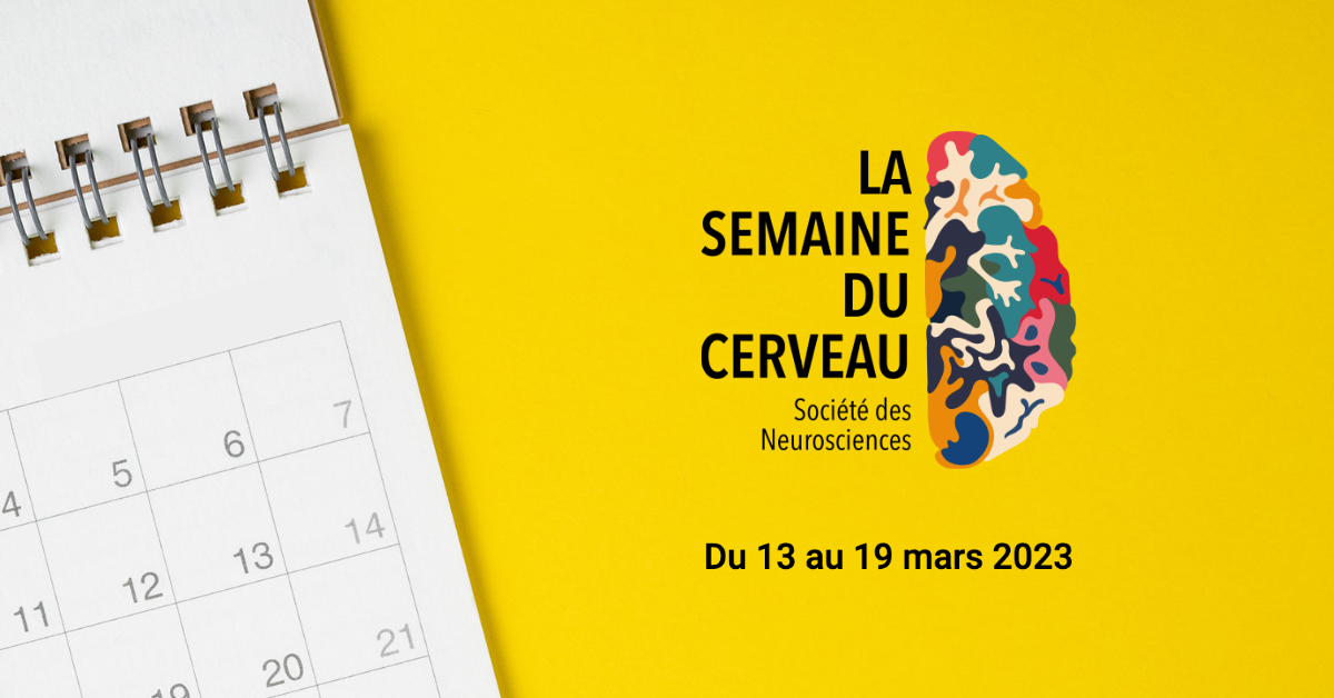 Musique, hypnose, astrocytes… les thèmes de la Semaine du Cerveau 2023 en Limousin !