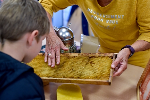 Fete de la science en haute vienne