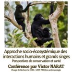 Conference approche socio ecosystemique interactions humains et grand singes