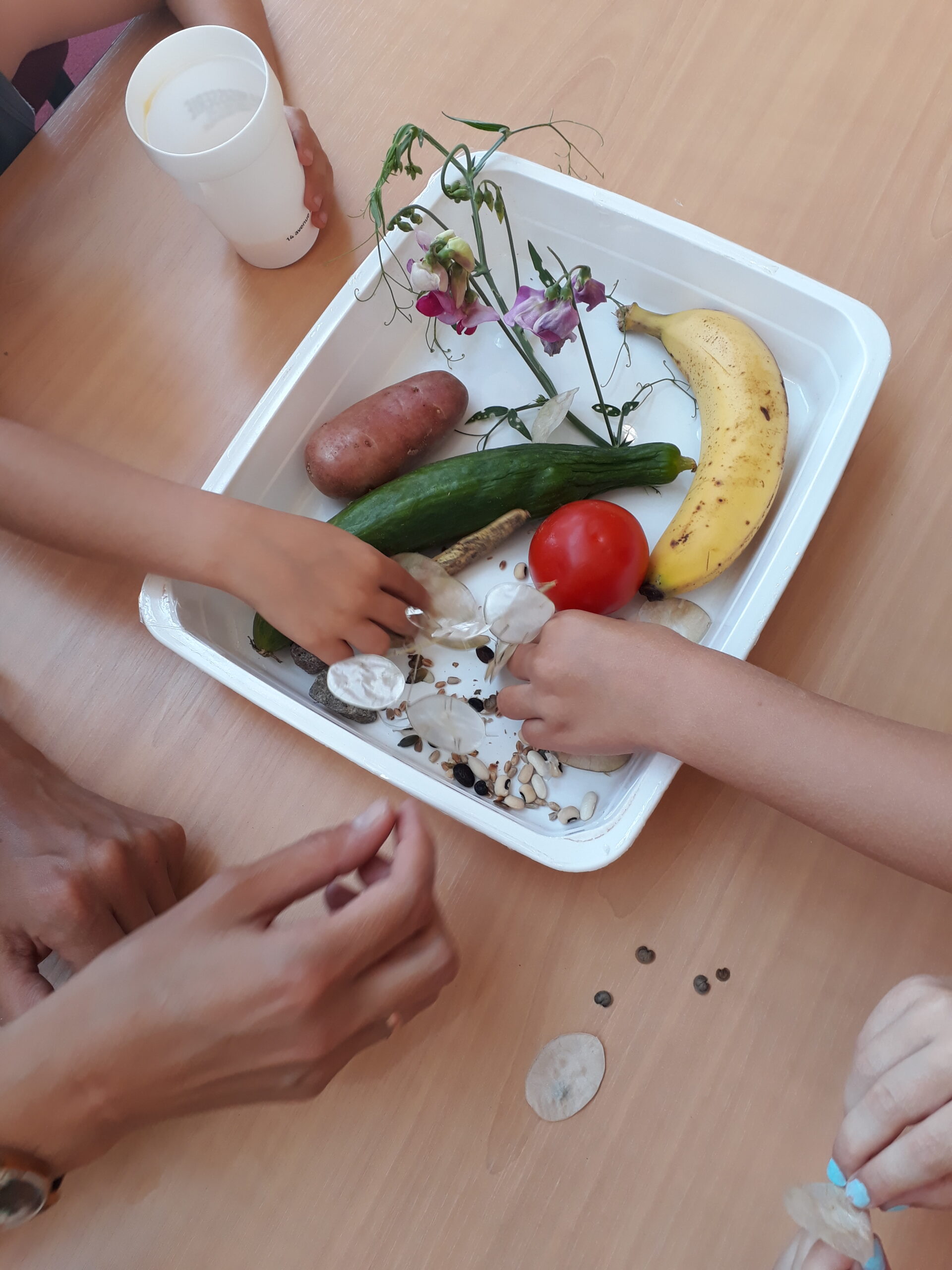 petitegrainedeviendraverte