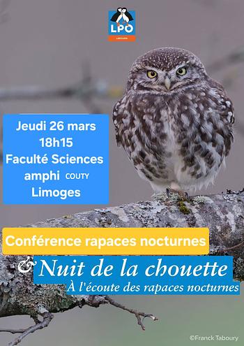 xl_Nuitchouettecouty