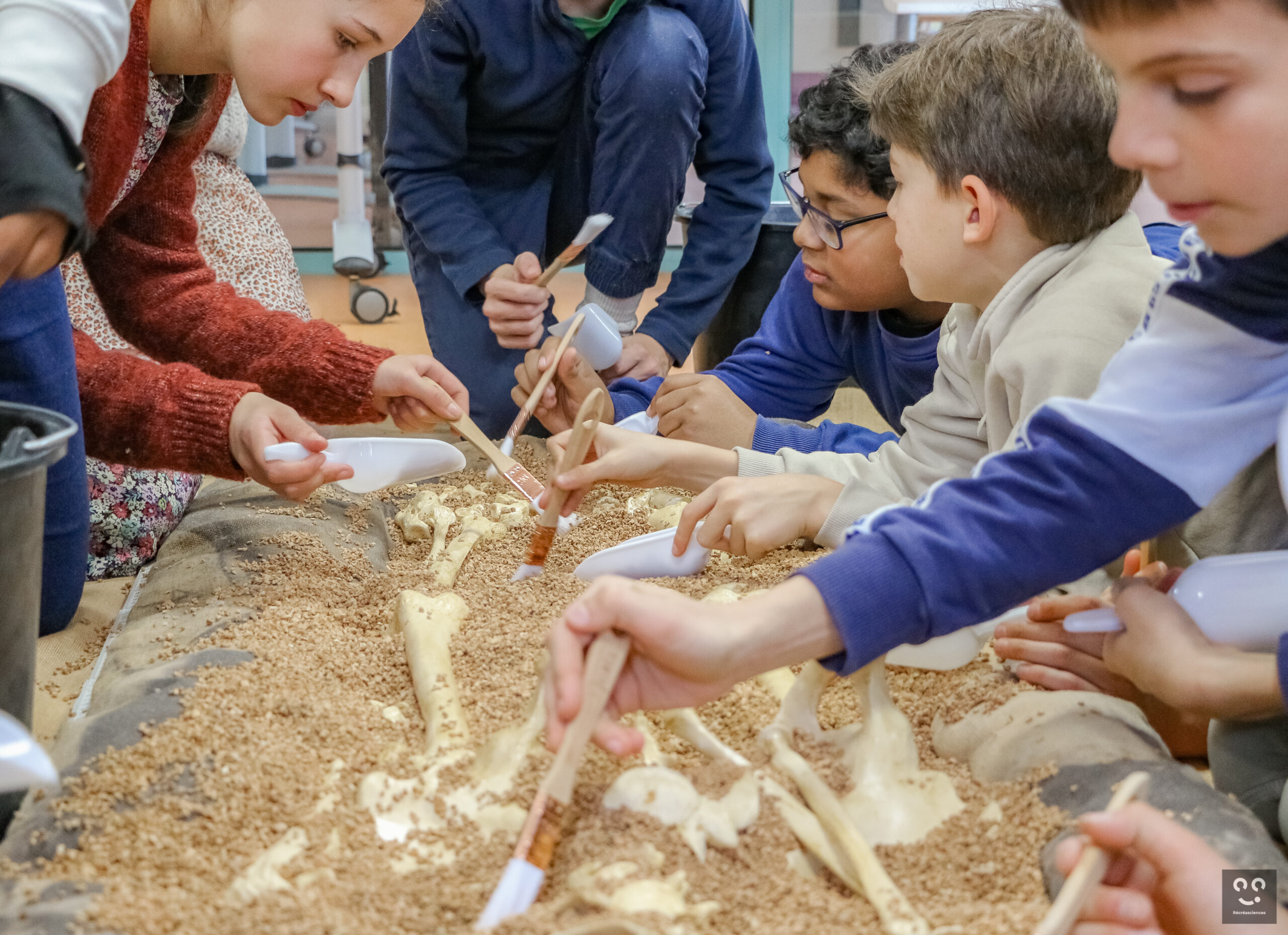 Animation-scientifique-antrhopotes-recreasciences-dec22-05